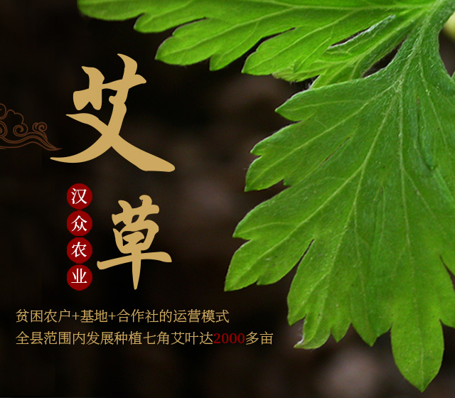 湖南汉众农业发展有限公司_怀化天然七角艾草植物种植|怀化艾制品制造销售
